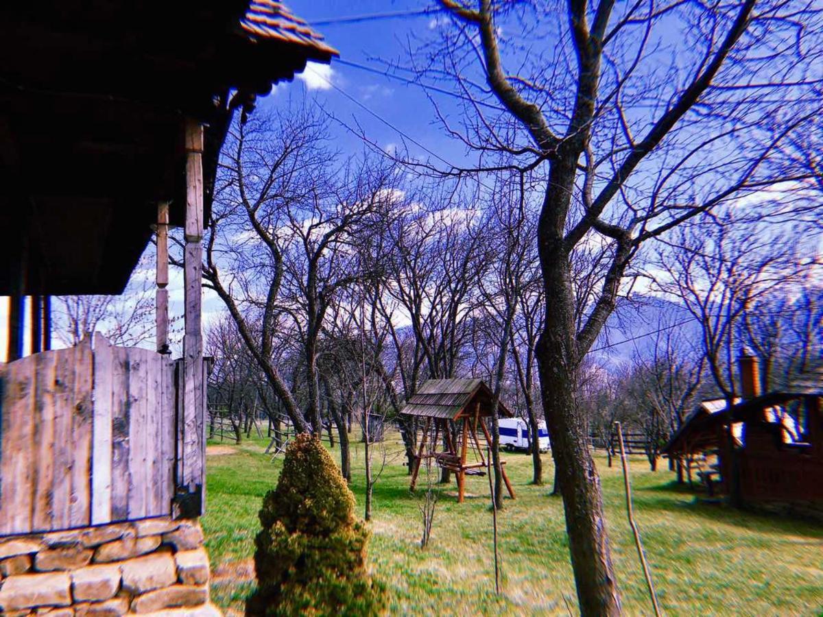 Villa Granny'S House à Moisei Extérieur photo